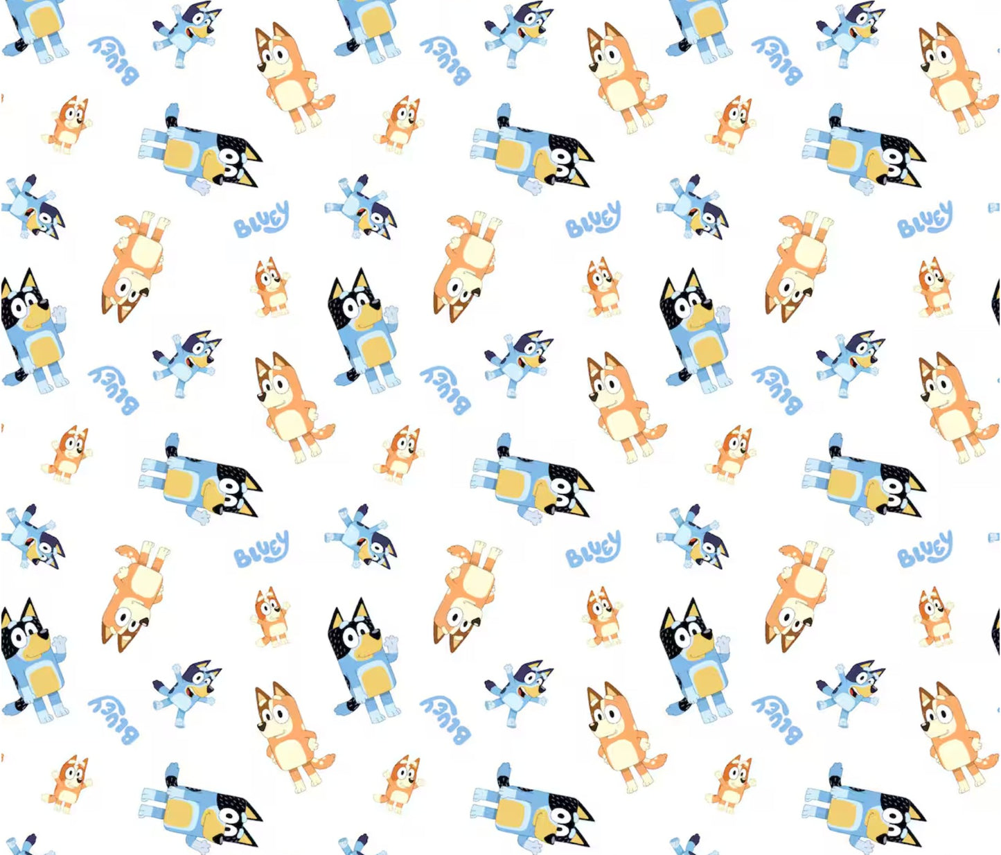 Bluey and Bingo