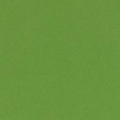 LIME CRUSH-SMOOTHIE CARDSTK 12"