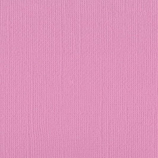 PETUNIA   -MONO CARDSTOCK 12X12