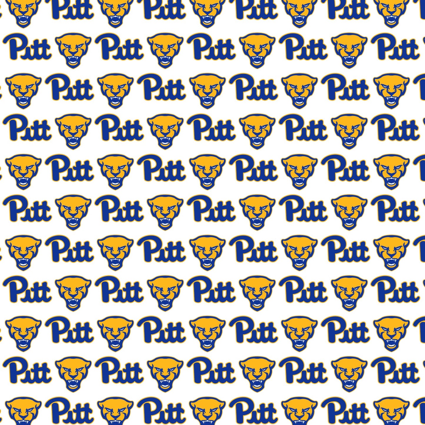 Pitt Panthers