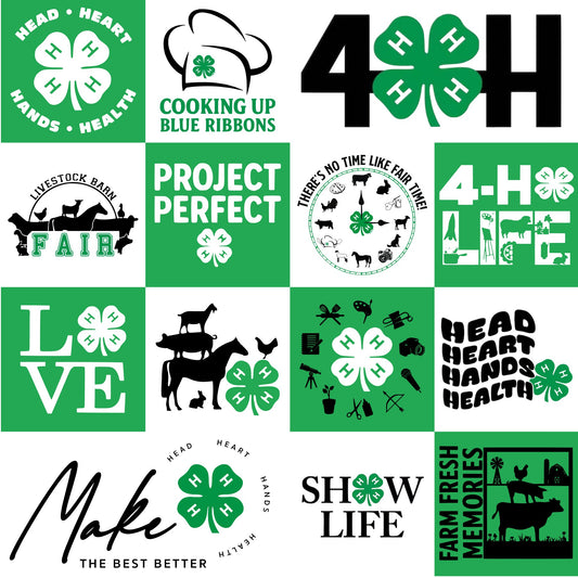 4-H