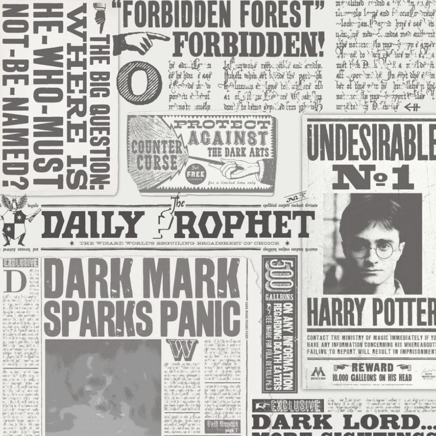 Harry Potter Newspaper