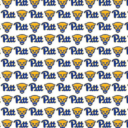 Pitt Panthers