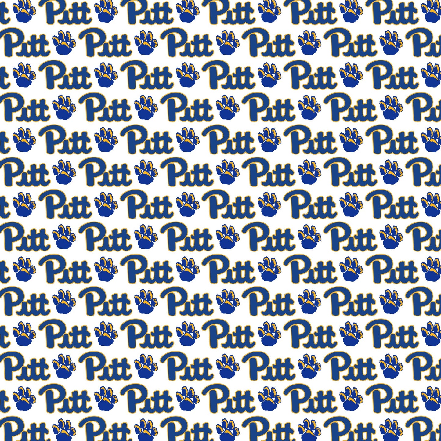 Pitt Panthers Paw