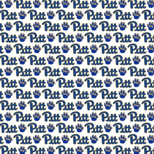 Pitt Panthers Paw