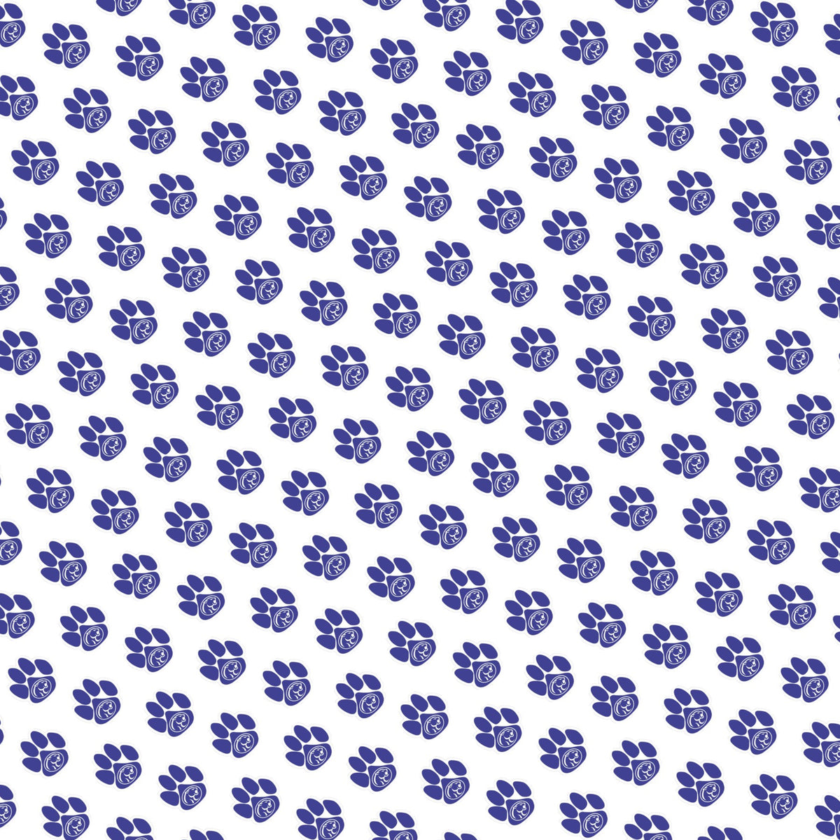 PSU Lions
